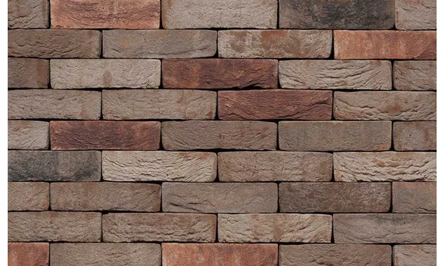 Кирпич S.Anselmo Custom blend DB, Selmo, 250х120х55 мм