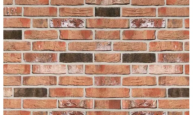 Кирпич облицовочный Roben Moorbrand torf-bunt, 240х115х71 мм