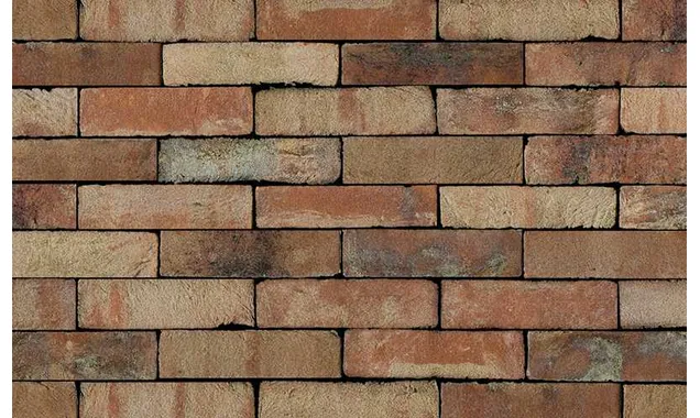 Кирпич S.Anselmo Superior Line Ecocolor, Selmo, 240х55х70 мм