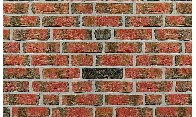Кирпич облицовочный Roben Fehnbrand buntgeflammt, 240х115х71 мм