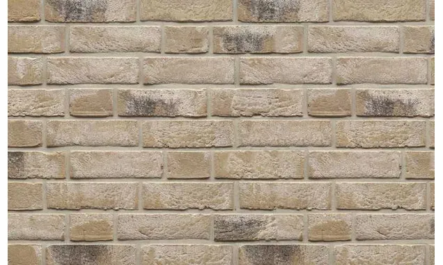 Кирпич облицовочный Muhr Nr 59 Monaco (Titan Multi), 210х100х65 мм
