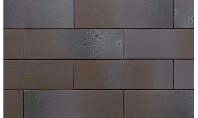 Клинкерная плитка Terca Armis Root, 240х71х9 мм
