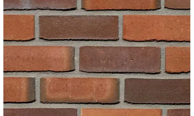 Кирпич облицовочный Terca Passiebloem, 215х102х65 мм