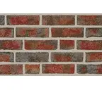 Кирпич Roben Formback buntgeflammt, 240х115х71 мм
