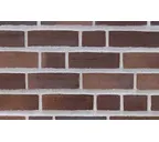 Кирпич облицовочный Randers Tegl Prima RT434, 215х102х65 мм