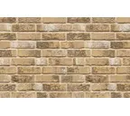 Кирпич облицовочный Muhr Nr 40, Kingston Weathered Gault, 215х102х65 мм