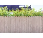 Профлист Grand Line C20В 0.45 Print Elite Snow wood