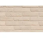 Кирпич облицовочный Terca Agora Nevelwit, 215х102х50 мм