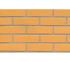 Клинкерная плитка ручной формовки Feldhaus Klinker NF 14 R200 amari liso 240х71х14 мм