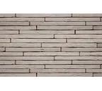 Кирпич S.Anselmo Corso Selmo BB, 500х50х40 мм