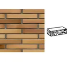 Кирпич клинкерный Muhr 06 EG Hellbraun-bunt Edelglanz готик, 290х90х40 мм