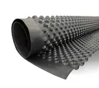 Мембрана PlastGuard 400 8х2000х20000