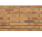 Кирпич клинкерный Muhr 06 K Hellbraun-bunt Kohle гладкий, 290х90х40 мм