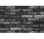 Кирпич S.Anselmo Smoked MHB, Selmo, 250х120х55 мм