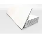 Керамогранитная плита FAVEKER GA20 для НФС, Urban Blanco, 800*300*20 мм