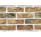 Декоративный кирпич REDSTONE Town Brick TB-50/53/R, 213х65 мм