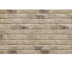 Кирпич облицовочный Muhr Nr 59, Monaco, 1/2 WFD 210х45-50х65 мм