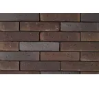 Кирпич облицовочный Terca Kogelbloem, 210х100х50 мм