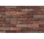 Кирпич S.Anselmo Custom blend TL, Selmo, 250х60х55 мм