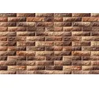 Декоративный кирпич White Hills Тилл цвет 455-40, 25х6,25 см