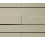 Фиброцементный сайдинг Cedral Click Smooth (гладкий) С57 12х190х3600