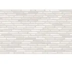 Кирпич облицовочный Randers Tegl Unika RT562, 228х108х40 мм