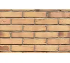 Кирпич клинкерный Muhr 23 Morgenrote Wasserstrich, 240х52х52 мм