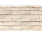 Кирпич облицовочный Terca Metropolis Dover Wit, 240х65х40 мм