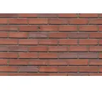 Кирпич клинкерный Muhr 04 Rotbraun-bunt Wasserstrich, 215х102х65 мм