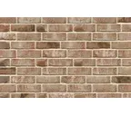 Кирпич облицовочный Muhr Nr 31, Alt Maasbrand, 210х100х65 мм