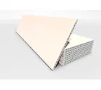 Керамогранитная плита FAVEKER GA20 для НФС, Rocks Beige, 800*400*20 мм