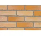Кирпич облицовочный Terca Geel Bruin Gereduceerd, 215х102х65 мм