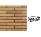 Кирпич клинкерный Muhr 06 Hellbraun-bunt готик, 290х90х52 мм