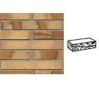 Кирпич клинкерный Muhr 06 S Hellbraun-bunt Spezial готик, 290х90х40 мм