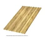 Профлист Металл Профиль МП20 0.5 ECOSTEEL® текстурированный двусторонний Золотой дуб B