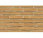 Кирпич клинкерный Muhr 06 Hellbraun-bunt Wasserstrich, 240х71х50 мм