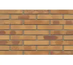 Кирпич клинкерный Muhr 06K Hellbraun-bunt Kohle гладкий, 290х90х52 мм