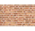 Кирпич облицовочный Randers Tegl Rustica RT452, 220х105х65 мм