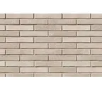 Кирпич Roben Dover клинкерный, 290х90х52 мм