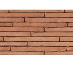 Кирпич облицовочный Terca Wasserstrich Special Orient Red, 500х100х40 мм