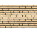 Кирпич облицовочный Randers Tegl Classica RT215, 215х50х65 мм