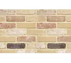 Кирпич облицовочный Terca Oud Beauvoorde, 215х102х65 мм
