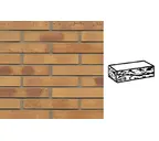 Кирпич клинкерный Muhr 06K Hellbraun-bunt Kohle готик, 290х90х52 мм