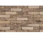 Кирпич S.Anselmo Custom blend LR, Selmo, 250х120х55 мм