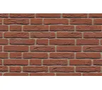 Кирпич облицовочный Muhr Nr 02, Rotbraun-bunt, 210х100х50 мм
