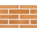 Кирпич S.Anselmo Custom blend RSW, Standart, 250х120х55 мм