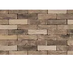 Кирпич S.Anselmo Custom blend RV, Selmo, 240х55х70 мм