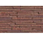 Облицовочный кирпич Terca Tobago Wasserstrich Special Rood, 495х100х38 мм