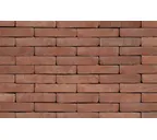 Кирпич S.Anselmo Superior Line Rosato per pavimento, Standart, 250х120х55 мм