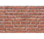 Плитка Roben Formback Hellrot-bunt, 240х71х14 мм